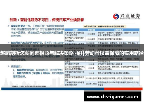 赵鹏剖析欠薪问题根源与解决策略 提升劳动者权益保障的实用路径