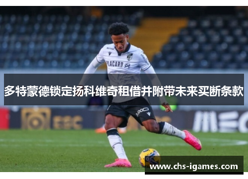 多特蒙德锁定扬科维奇租借并附带未来买断条款 多特蒙德锁定扬科维奇租借并附带未来买断条款