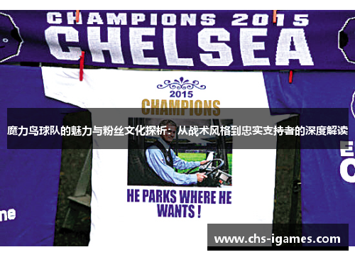 魔力鸟球队的魅力与粉丝文化探析：从战术风格到忠实支持者的深度解读